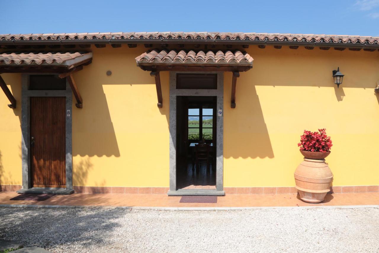 Agriturismo Arlena บอลเซนา ห้อง รูปภาพ