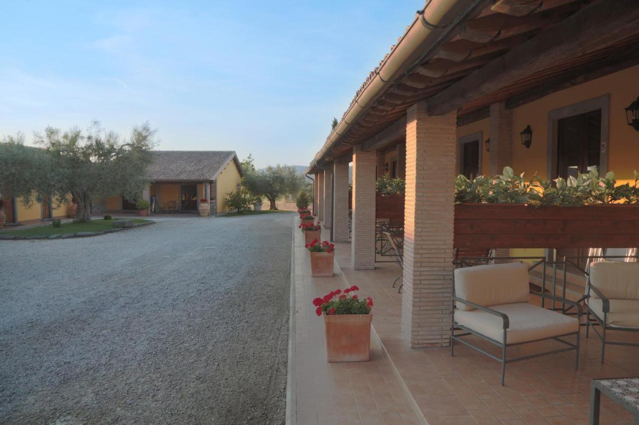 Agriturismo Arlena บอลเซนา ภายนอก รูปภาพ