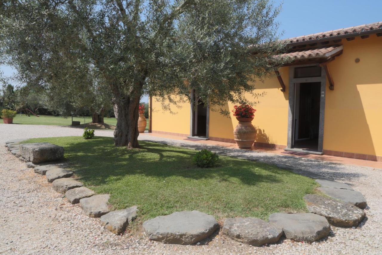 Agriturismo Arlena บอลเซนา ห้อง รูปภาพ