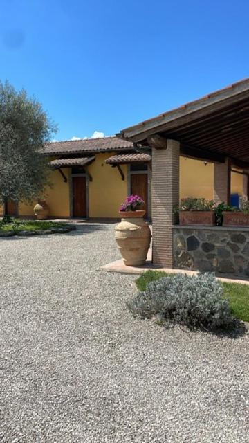 Agriturismo Arlena บอลเซนา ภายนอก รูปภาพ
