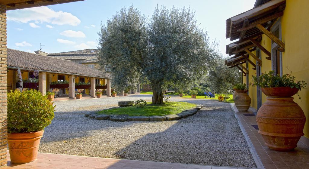 Agriturismo Arlena บอลเซนา ภายนอก รูปภาพ